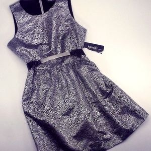 Metallic Silver & Black striped dress